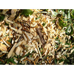 Broyeur de végétaux grand débit moteur OHV 15 CV