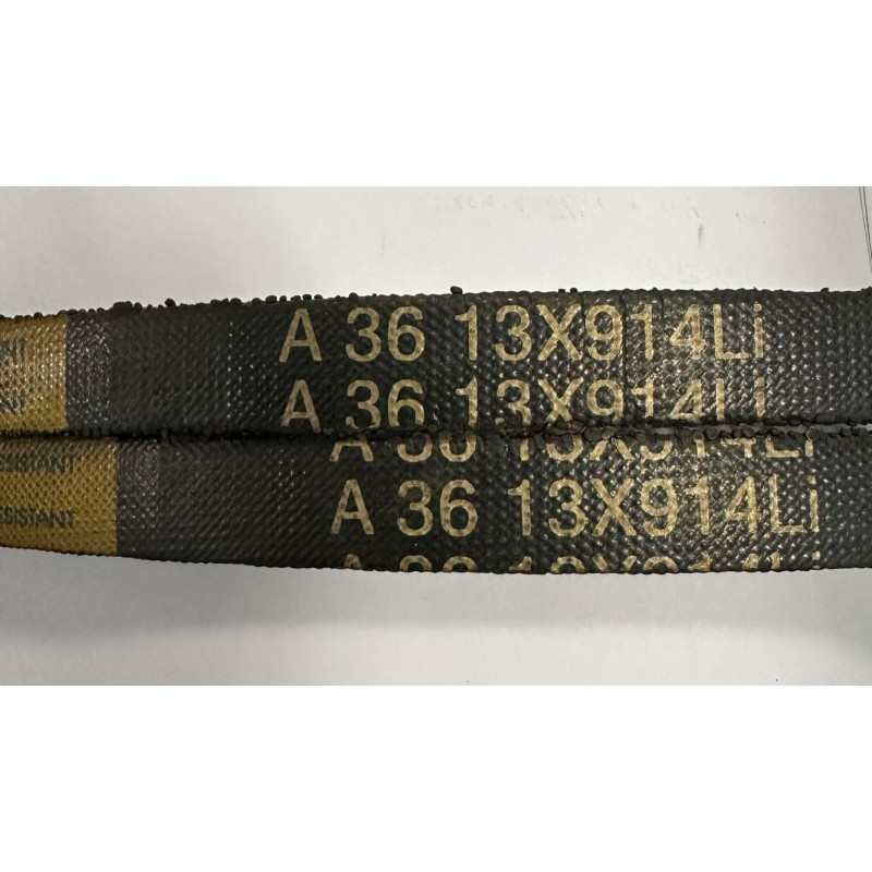 Courroie pour broyeurs de végétaux AGRIFORCE