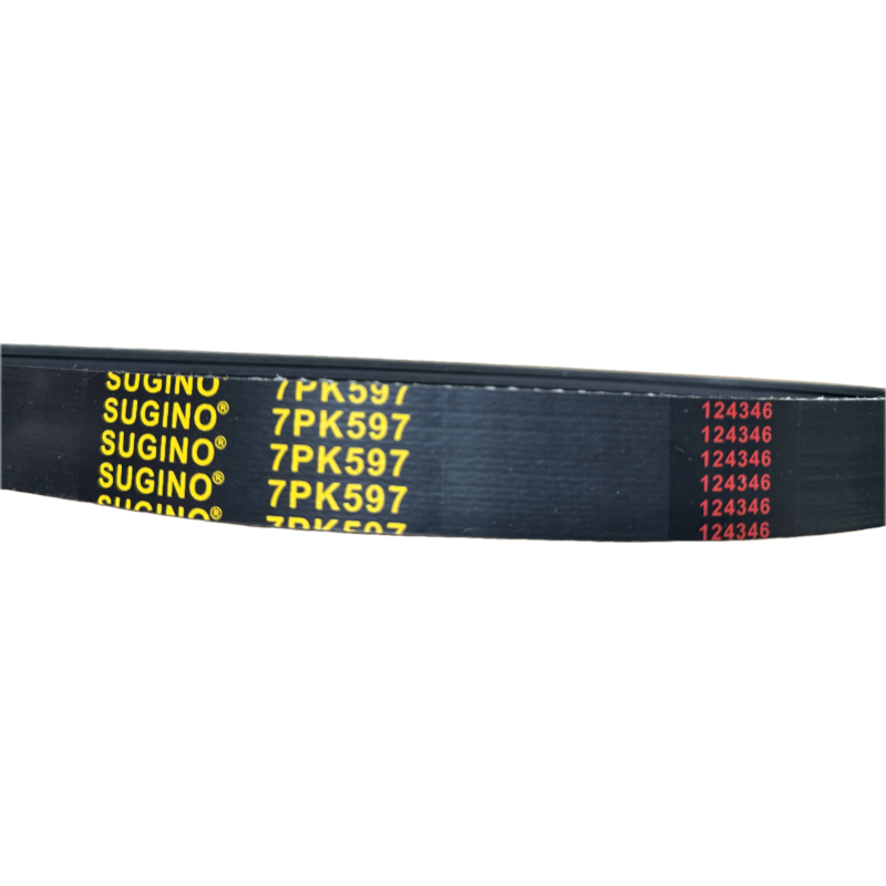 Courroie de marche avant pour rotavator GREENWOOD RT7