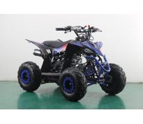 Mini Quad thermique 4 temps 110cc