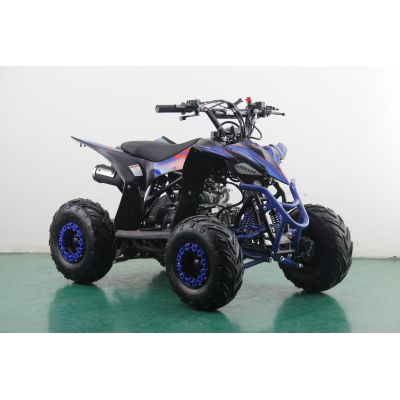 Mini Quad thermique 4 temps 110cc