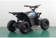 Mini Quad électrique 1000W