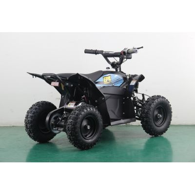 Mini Quad électrique 1000W