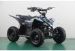Mini Quad électrique 1000W