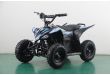 Mini Quad électrique 1000W