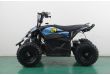 Mini Quad électrique 1000W