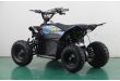 Mini Quad électrique 1000W