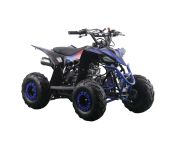 Mini Quad thermique 4 temps 110cc - ELECTROPOWER