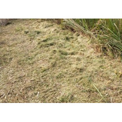 Tondeuse débroussailleuse - broyeuse à 36 fléaux 302cm3