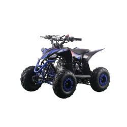 Mini Quad thermique 4 temps 110cc